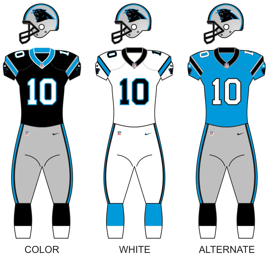 Team photo for Carolina Panthers