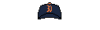 Team photo for Detroit Tigers