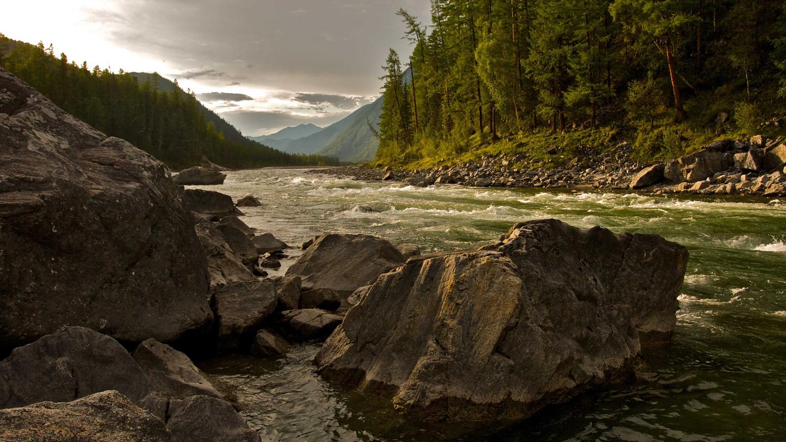 Poster or key art for The Sims